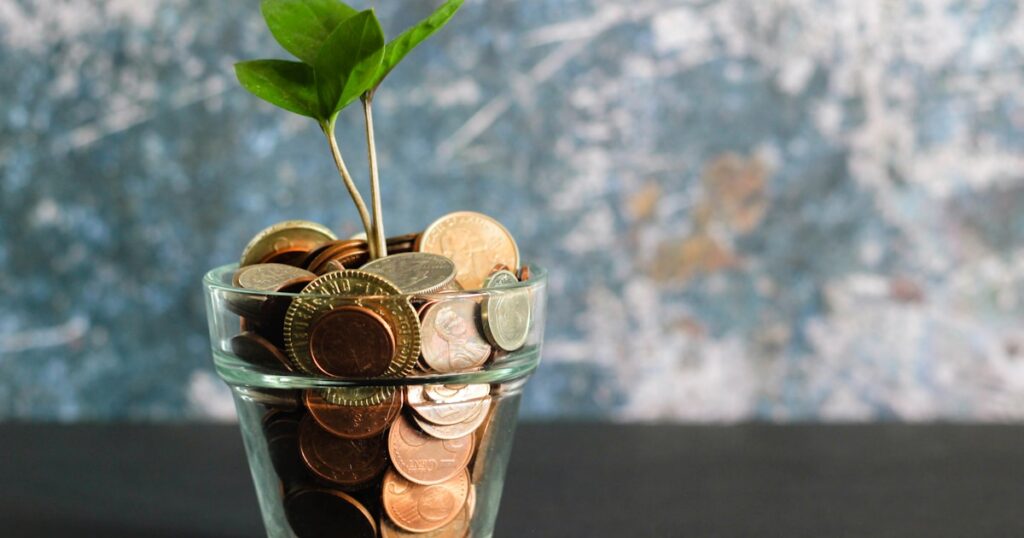 Debt payoff calculator and net worth tracking with financial charts